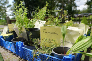 Gartentag Campen